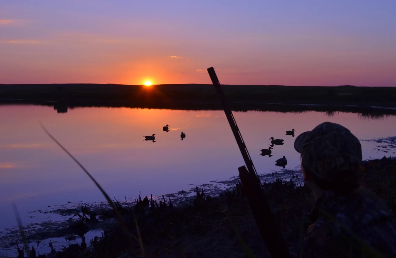 A waterfowl hunter looking over decoys on a wetland at sunset